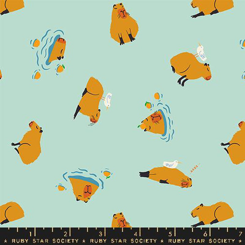 {New Arrival} Moda Ruby Star Society Animal Animal Capybara Minty