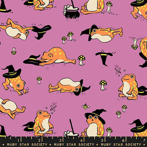 {Pre-Order July/Aug} Moda Ruby Star Society Freaky Familiars Frogmiliars Heliotrope