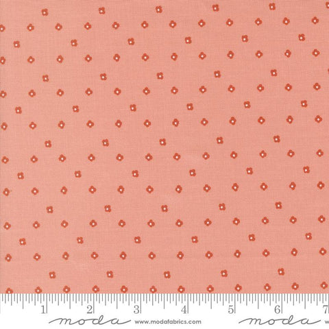 {New Arrival} Moda Gingiber Imaginary Flowers Baby Buds Dots Blossom