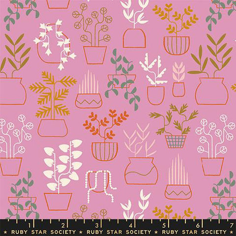 {Pre-Order December} Moda Ruby Star Society Calathea Plant Life Kiss