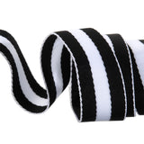 {New Arrival} Tula Pink Renaissance Ribbons Webbing 1.5" Black & White