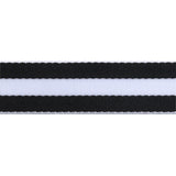 {New Arrival} Tula Pink Renaissance Ribbons Webbing 1.5" Black & White