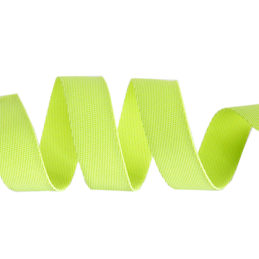 {New Arrival} Tula Pink Renaissance Ribbons Webbing 1" Neon Everglow Moonbeam