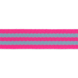 {New Arrival} Tula Pink Renaissance Ribbons Webbing 1" Aqua/Hot Pink
