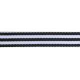 {New Arrival} Tula Pink Renaissance Ribbons Webbing 1" Black & White