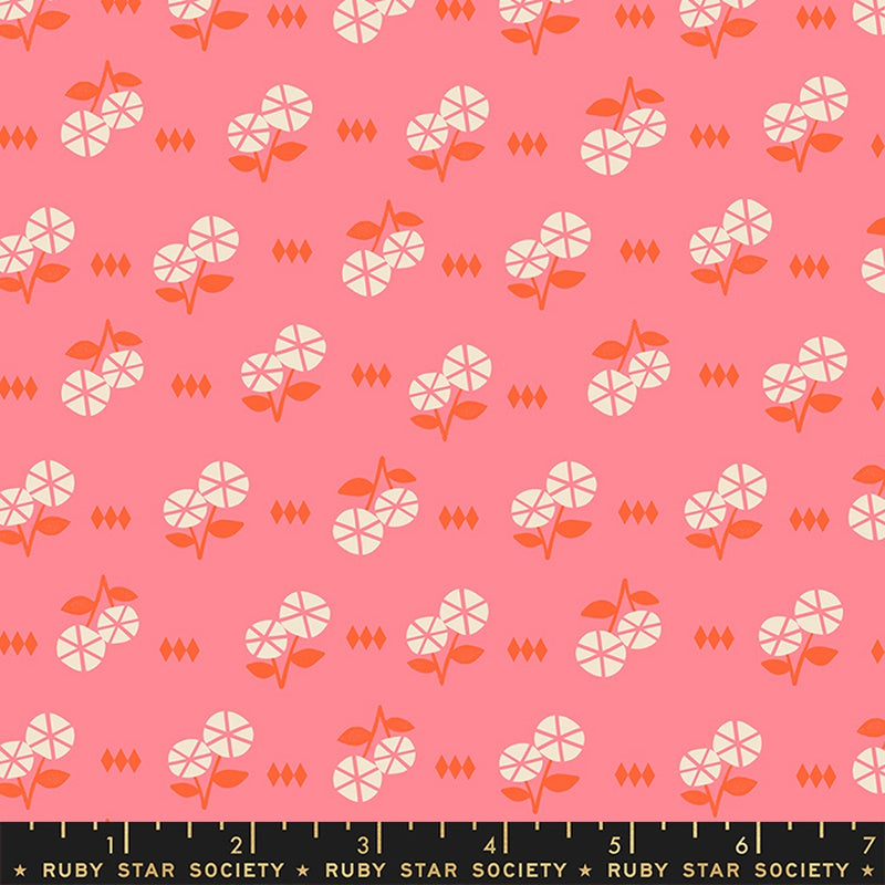 Moda Ruby Star Society First Light Fruit Flowers Floral Sorbet