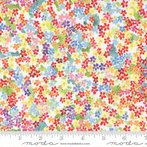 Moda Create Joy Project Eufloria Petal Fetti Rainbow