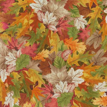 Timeless Treasures Chong-A Hwang Collection Birch Song Multi Fall Leaves