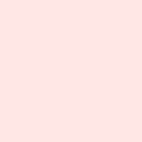 {New Arrival} Tula Pink Solids Unicorn Poop - Peachfuzz