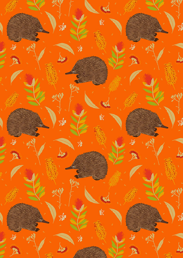 Amanda Brandl Monotremes & Marsupials Echidna Shuffle Orange
