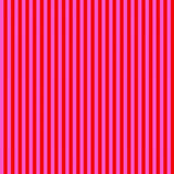 {New Arrival} Tula Pink Tent Stripe Peony Stripe