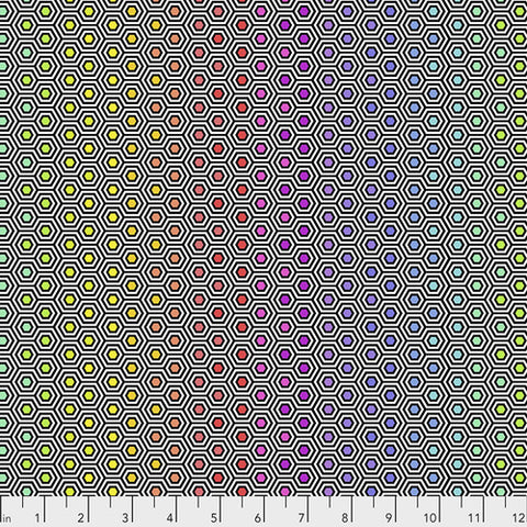 {New Arrival} Tula Pink Linework Hexy Rainbow - Ink