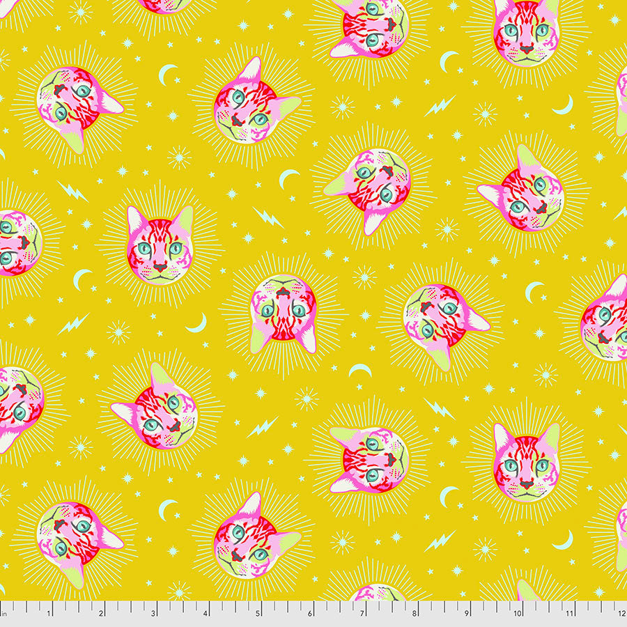 Tula Pink Curiouser & Curiouser Chesire - Wonder