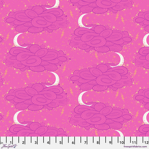 {New Arrival} Tula Pink Nightshade Deja Vu Storm Clouds - Oleander