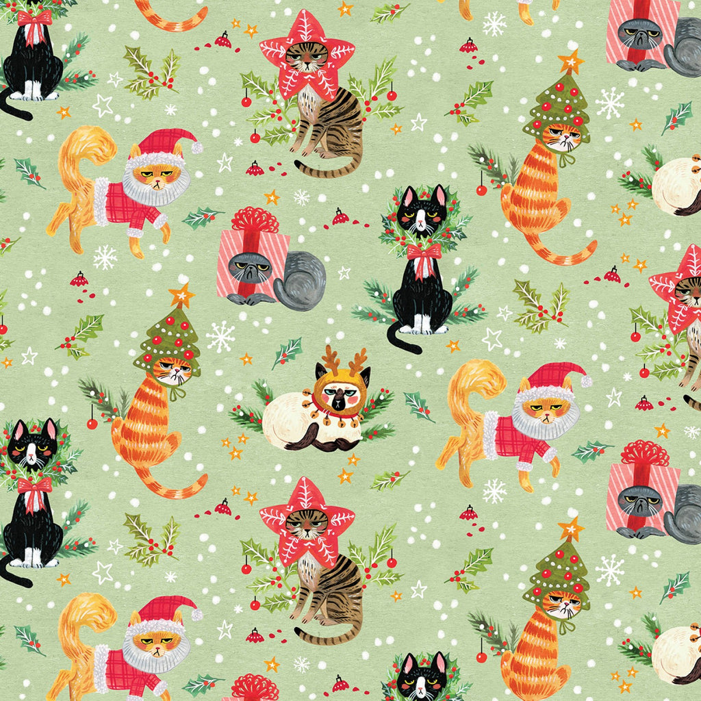 Dear Stella Not Meowsed Mult Not Ameowsed Christmas Cats