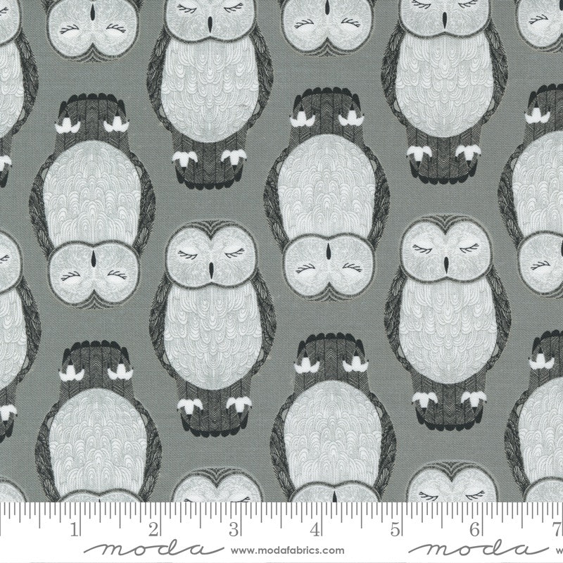 Moda Gingiber Nocturnal Sleeping Owls Raincloud