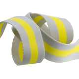 {New Arrival} Tula Pink Renaissance Ribbons Webbing 1.5" Grey &  Lime