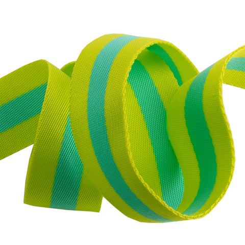 {New Arrival} Tula Pink Renaissance Ribbons Webbing 1.5" Lime & Turquoise